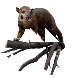 Weasels Animal Base Scan