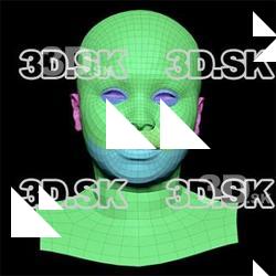 Retopologized 3D Head scan of Alberaneshia Allen SubDivision