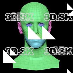 Retopologized 3D Head scan of Rylen Cannon SubDivision