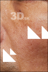  HD Face Skin Shiba Tanzan 