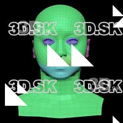 Retopologized 3D Head scan of Tynice Fisher SubDivision