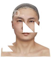 Kawakami Nichiren Raw Head Scan