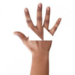 Tynice Fisher Retopo Hand Scan