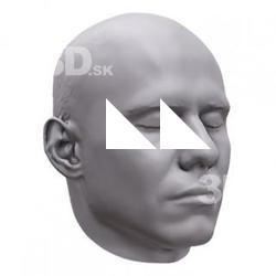 Honza Base Scan Head