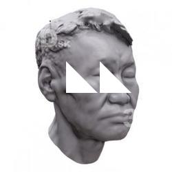 Mao Base Scan Head