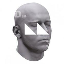 Marek Base Scan Head