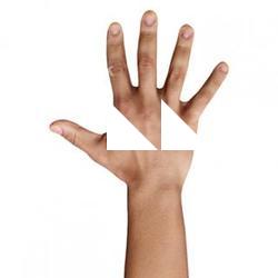 Javion Norris Retopo Hand Scan