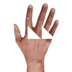 JIRANI PIERRE RETOPO HAND SCAN