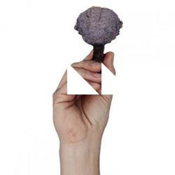 Richard_Raw_Hand_Scan