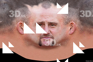 Toby head premade texture
