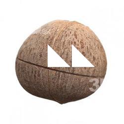 Food_Coconut_3D_Scan