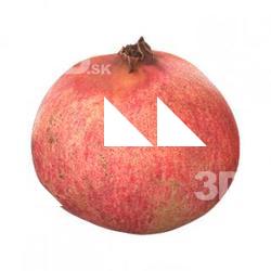 Food_Pomegranate_3D Scan
