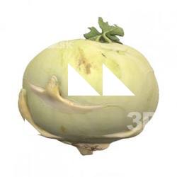 Food_Kohlrabi_3D_Scan