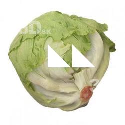 Food_Lettuce_3D_Scan
