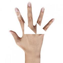 Artemis_Cibero_Retopo_Hand_Scan
