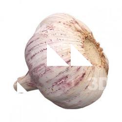 Food_Garlic_3D_Scan