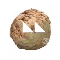 Food_Celery_Root_3D_Scan