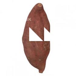 Food_Sweet_Potato_3D_Scan