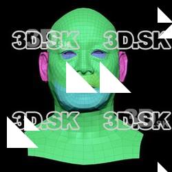 Retopologized 3D Head scan of Iwasaki Mashai SubDivision