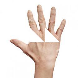 Iwasaki_Mashai_Retopo_Hand_Scan