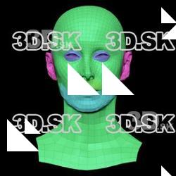 Retopologized 3D Head scan of Marina Tamayo SubDivision