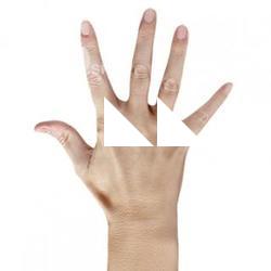 Marina_Tamayo_Retopo_Hand_Scan
