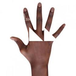 Shamone_Glenn_Retopo_Hand_Scan