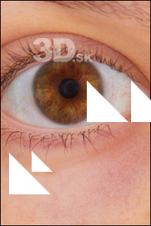  HD Eyes Babbie 
