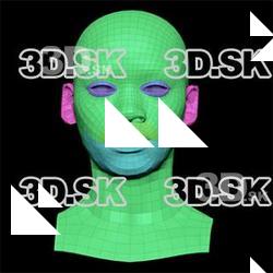 Retopologized 3D Head scan of Shamone Glenn SubDivision