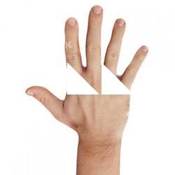 Henry_Tolen_Retopo_Hand_Scan