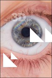  HD Eyes Arina Shy 