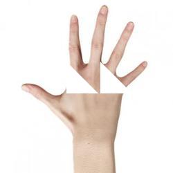Figgy_Retopo_Hand_Scan