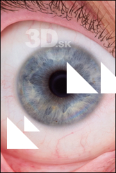  HD Eyes Alex Lee 