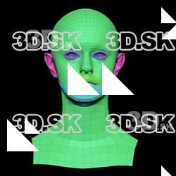 Retopologized 3D Head scan of Figgy SubDivision