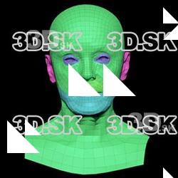 Retopologized 3D Head scan of Sophia Wilson SubDivision