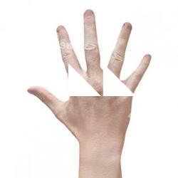 Augustine_Bauer_Retopo_Hand