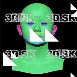 retopologized 3d head scan of kure orime SubDivision