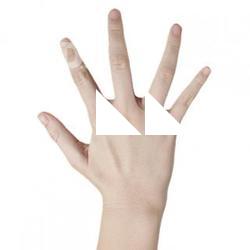 Kure_Orime_Retopologized_Hand 