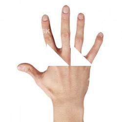 Kawakami_Nichiren_Retopologized_Hand