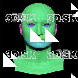 Retopologized 3D Head scan of Kawakami Nichiren SubDivision