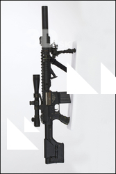  Weapon Rifle MK11 aka SR-25 