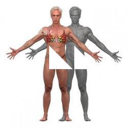 Eneli Clean A Pose Scan Underwear