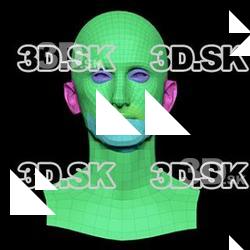Retopologized 3D Head scan of Callum Ward SubDivision