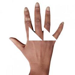 Vertasha Dorsey Retopologized Hand