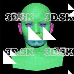 Retopologized 3D Head scan of Cayden Lindsey SubDivision