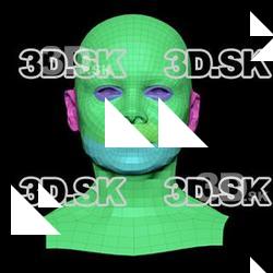 Retopologized 3D Head scan of Jashanna Taylor SubDivision