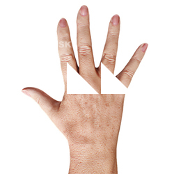 Isolda Hoven Retopologized Hand