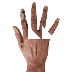 Jashanna Taylor Retopologized Hand