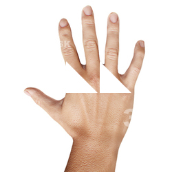 Pablo Cannon Retopologized Hand