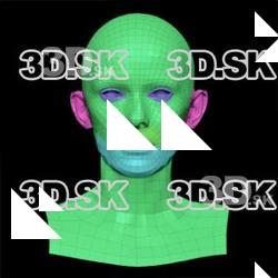 Retopologized 3D Head scan of Iris SubDivision
